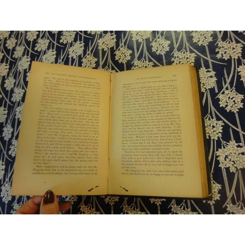 Works of Charles dickens household ed vol II david Copperfield vintage book 1863